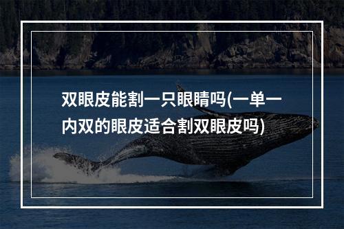 双眼皮能割一只眼睛吗(一单一内双的眼皮适合割双眼皮吗)