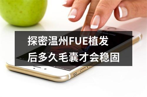 探密温州FUE植发后多久毛囊才会稳固