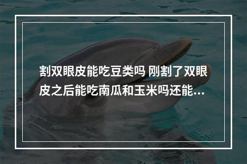 割双眼皮能吃豆类吗 刚割了双眼皮之后能吃南瓜和玉米吗还能吃些什么