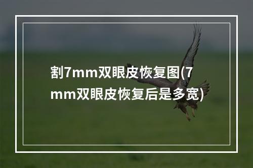 割7mm双眼皮恢复图(7mm双眼皮恢复后是多宽)