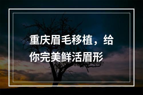 重庆眉毛移植，给你完美鲜活眉形