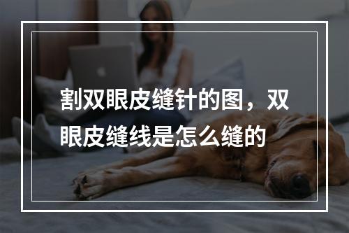 割双眼皮缝针的图，双眼皮缝线是怎么缝的