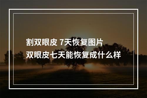 割双眼皮 7天恢复图片 双眼皮七天能恢复成什么样