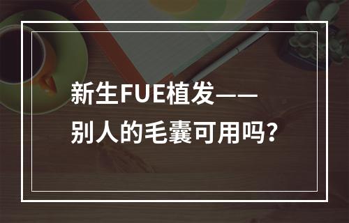 新生FUE植发——别人的毛囊可用吗？