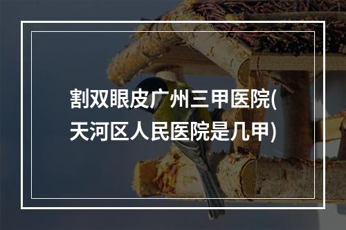 割双眼皮广州三甲医院(天河区人民医院是几甲)