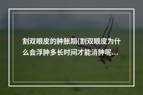 割双眼皮的肿胀期(割双眼皮为什么会浮肿多长时间才能消肿呢)