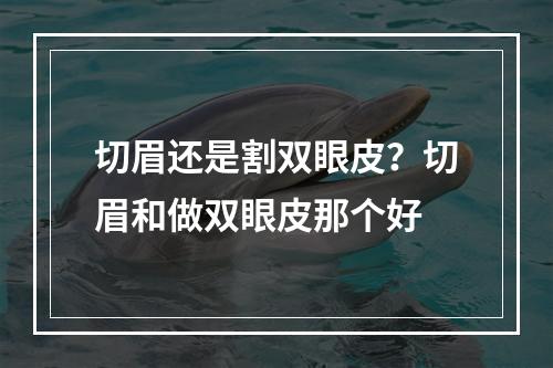 切眉还是割双眼皮？切眉和做双眼皮那个好