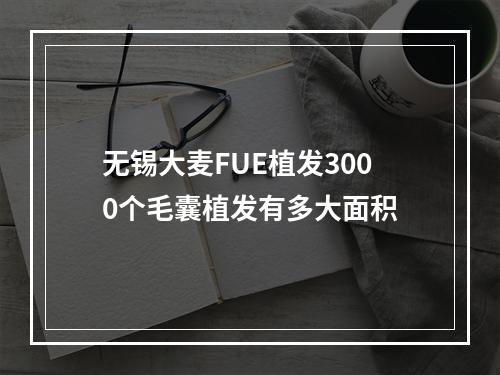 无锡大麦FUE植发3000个毛囊植发有多大面积