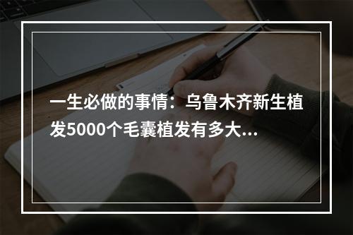 一生必做的事情：乌鲁木齐新生植发5000个毛囊植发有多大面积