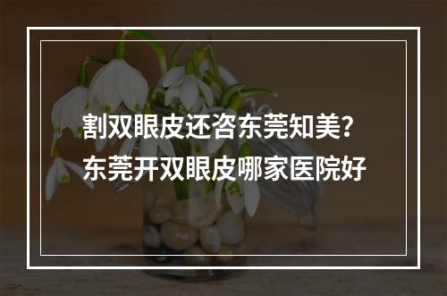 割双眼皮还咨东莞知美？东莞开双眼皮哪家医院好