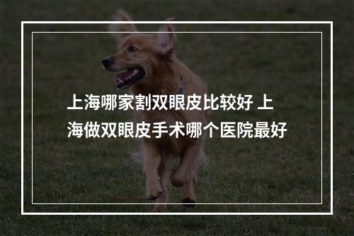 上海哪家割双眼皮比较好 上海做双眼皮手术哪个医院最好