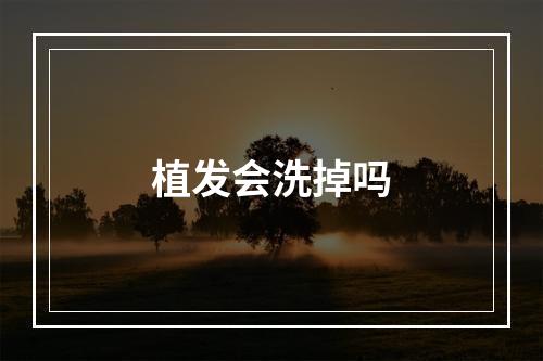 植发会洗掉吗