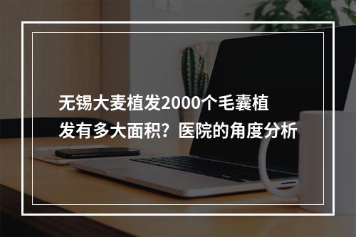 无锡大麦植发2000个毛囊植发有多大面积？医院的角度分析