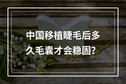 中国移植睫毛后多久毛囊才会稳固？