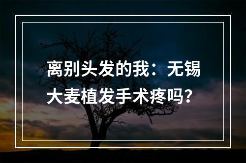 离别头发的我：无锡大麦植发手术疼吗？