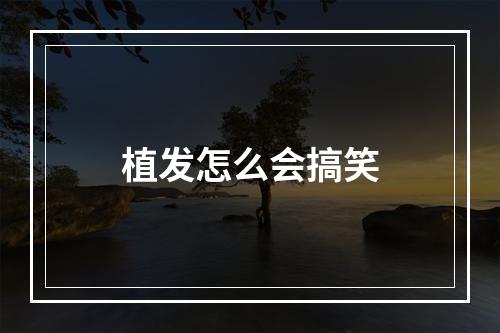 植发怎么会搞笑