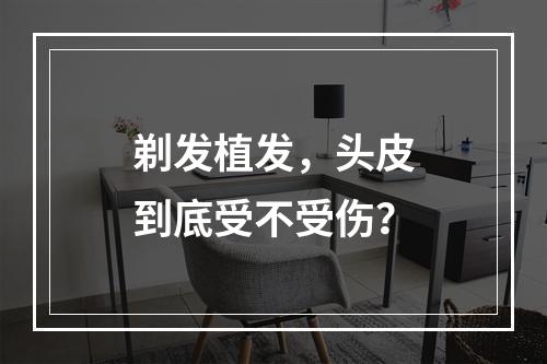 剃发植发，头皮到底受不受伤？