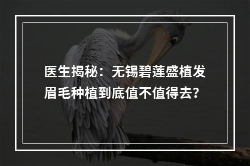 医生揭秘：无锡碧莲盛植发眉毛种植到底值不值得去？