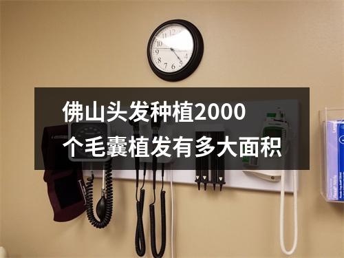 佛山头发种植2000个毛囊植发有多大面积