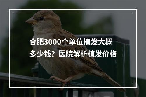 合肥3000个单位植发大概多少钱？医院解析植发价格