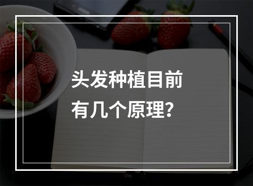 头发种植目前有几个原理？