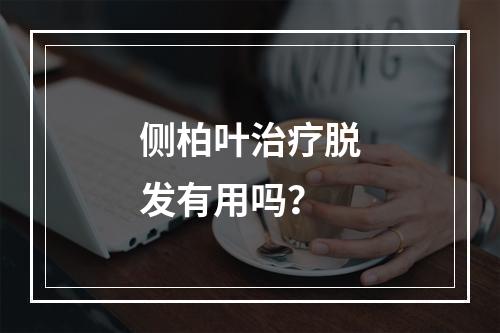 侧柏叶治疗脱发有用吗？