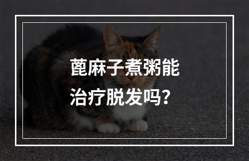 蓖麻子煮粥能治疗脱发吗？