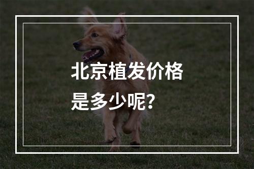 北京植发价格是多少呢？