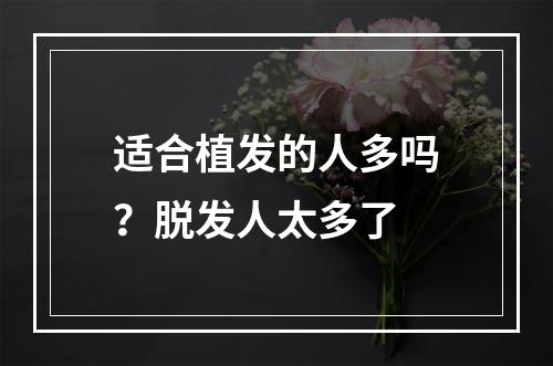 适合植发的人多吗？脱发人太多了