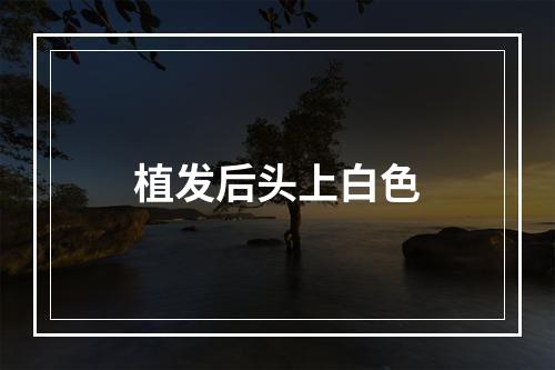 植发后头上白色