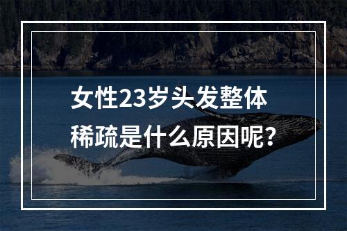 女性23岁头发整体稀疏是什么原因呢？