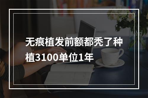 无痕植发前额都秃了种植3100单位1年