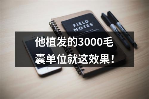 他植发的3000毛囊单位就这效果！