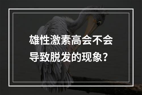 雄性激素高会不会导致脱发的现象？