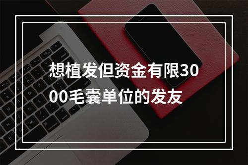 想植发但资金有限3000毛囊单位的发友