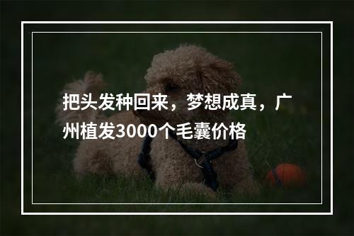 把头发种回来，梦想成真，广州植发3000个毛囊价格