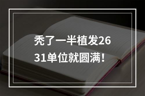 秃了一半植发2631单位就圆满！