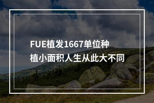 FUE植发1667单位种植小面积人生从此大不同