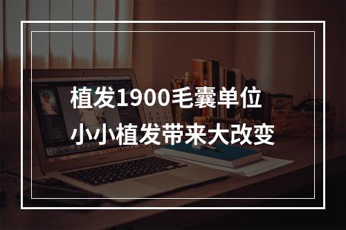 植发1900毛囊单位小小植发带来大改变