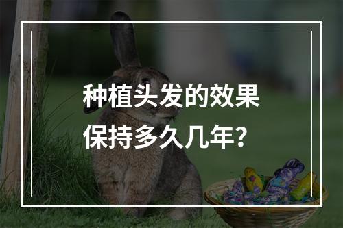 种植头发的效果保持多久几年？