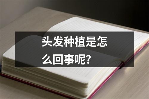 头发种植是怎么回事呢？