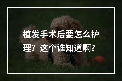 植发手术后要怎么护理？这个谁知道啊？