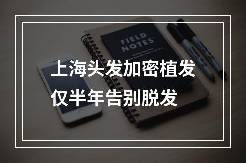 上海头发加密植发仅半年告别脱发