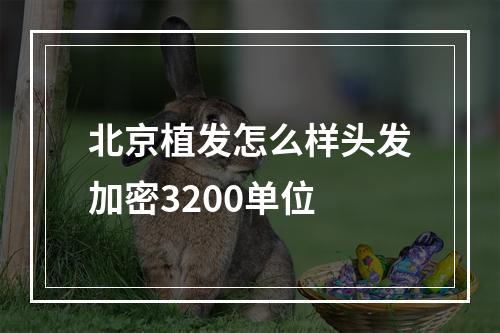 北京植发怎么样头发加密3200单位