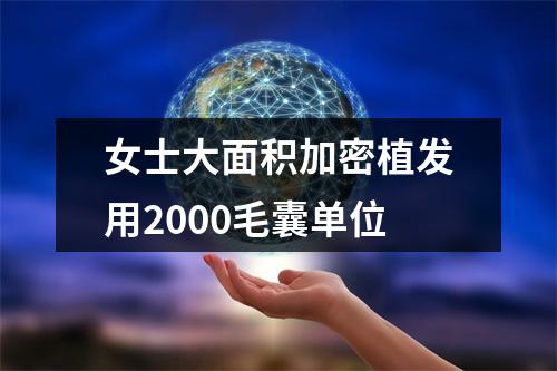 女士大面积加密植发用2000毛囊单位