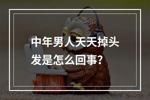 中年男人天天掉头发是怎么回事？