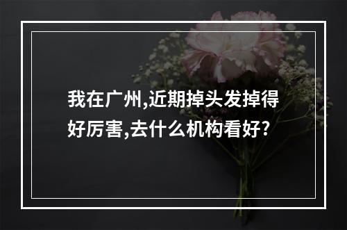 我在广州,近期掉头发掉得好厉害,去什么机构看好?