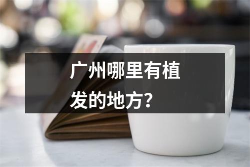 广州哪里有植发的地方？