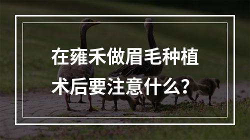 在雍禾做眉毛种植术后要注意什么？