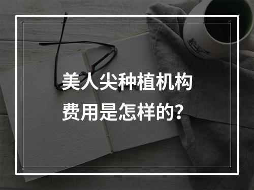 美人尖种植机构费用是怎样的？